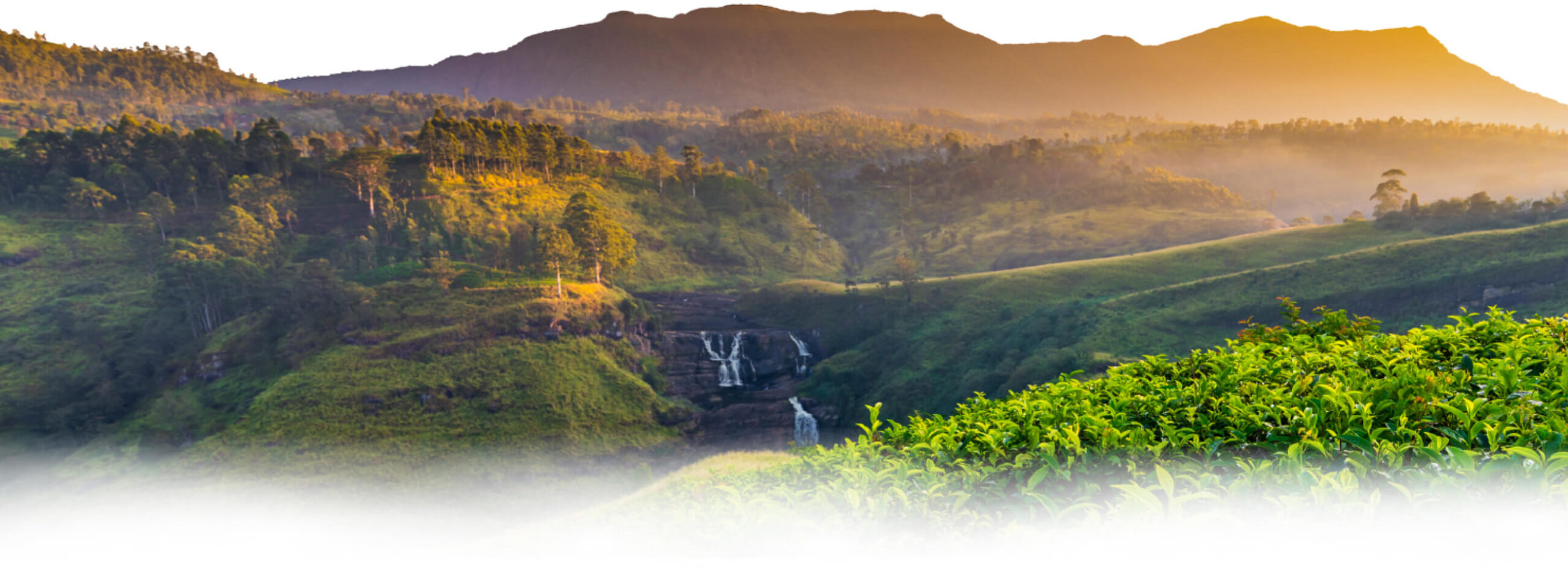 Sri Lanka Waterfall