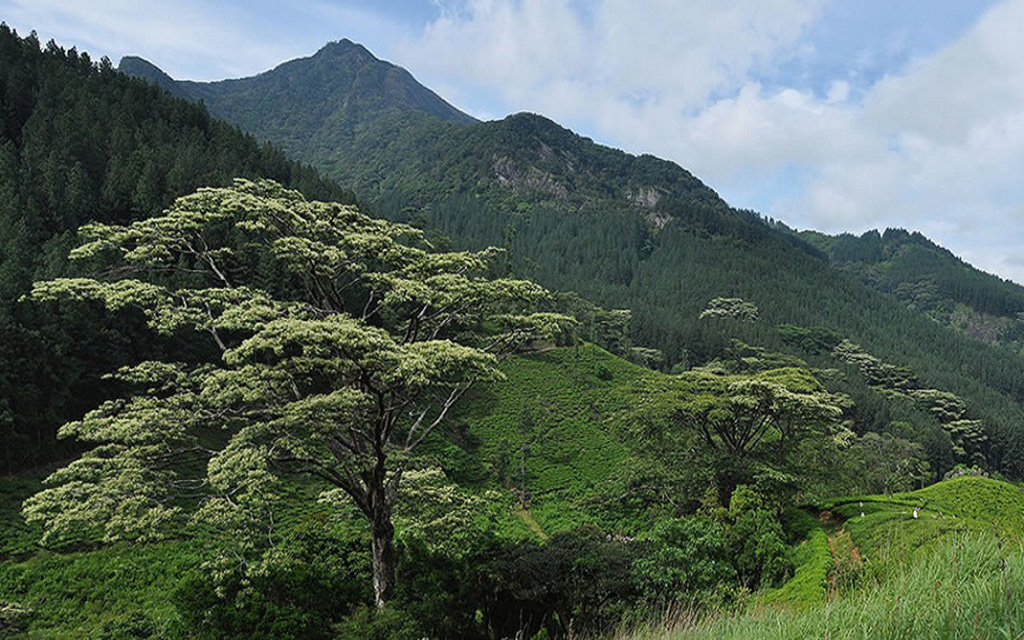 Knuckles Mountain Sri Lanka