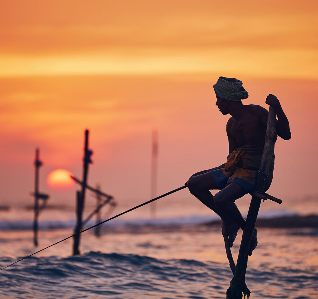 Traditional stilt fishing in Sri Lanka