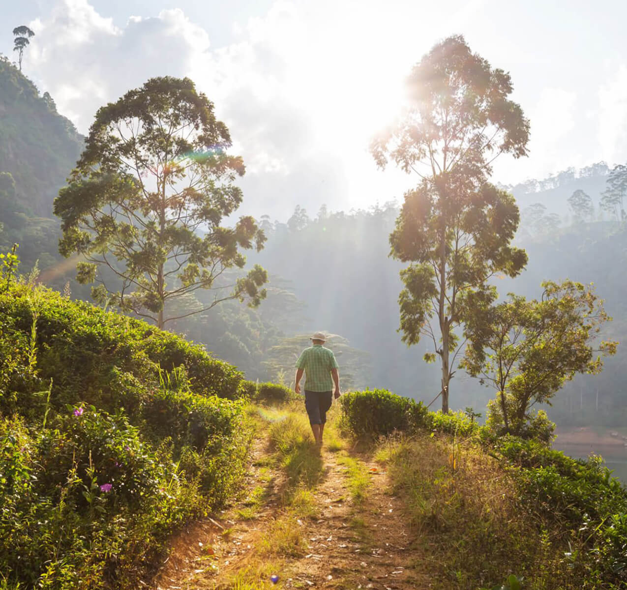 Hiking in Sri Lanka