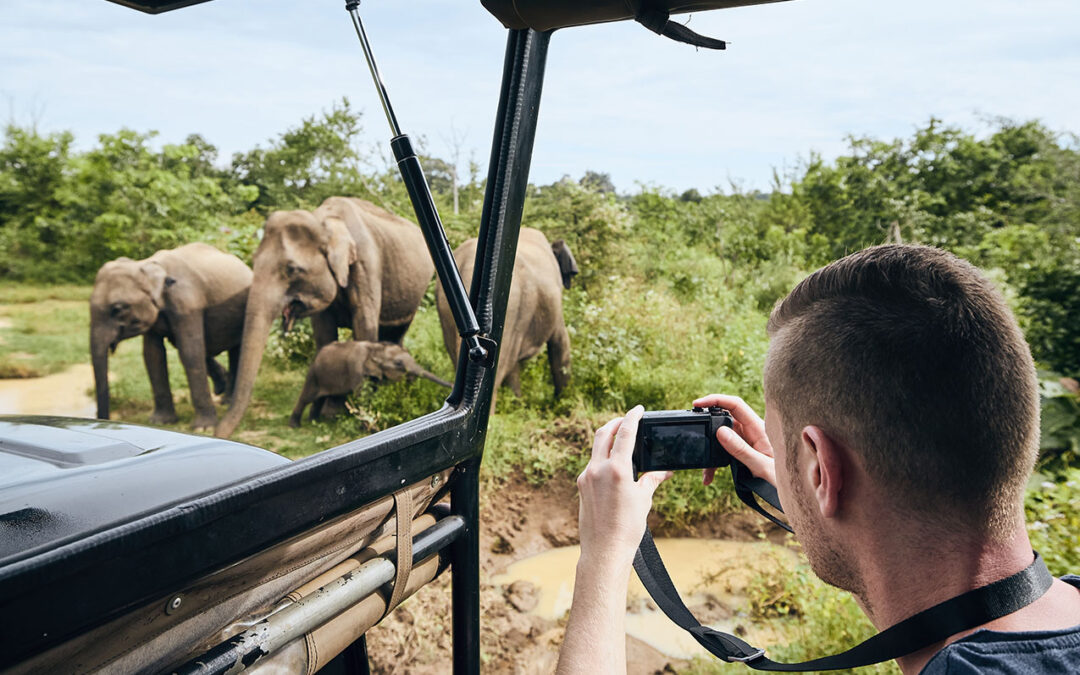 Wildlife Photography Tour