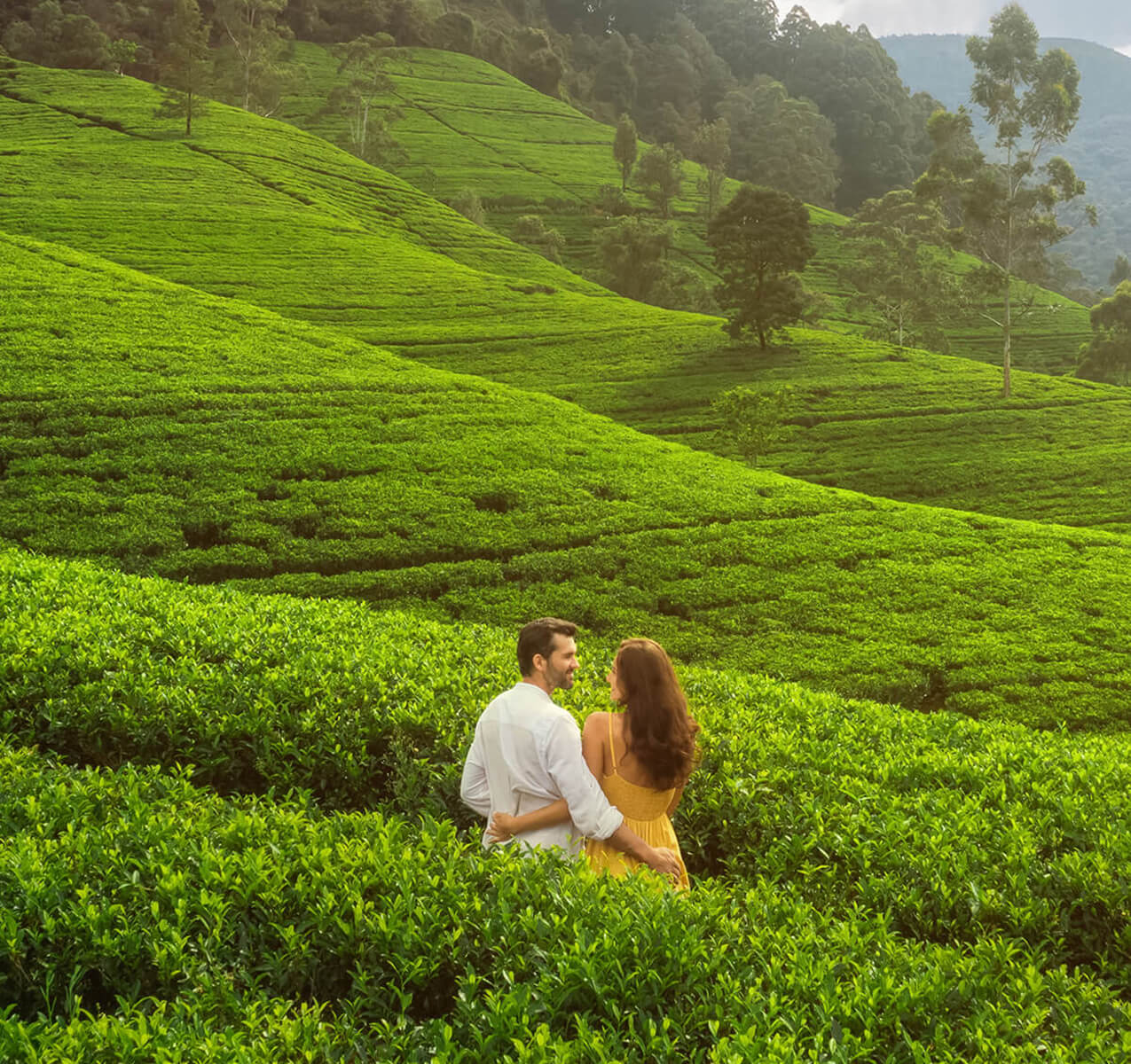 Couple in Tea estate