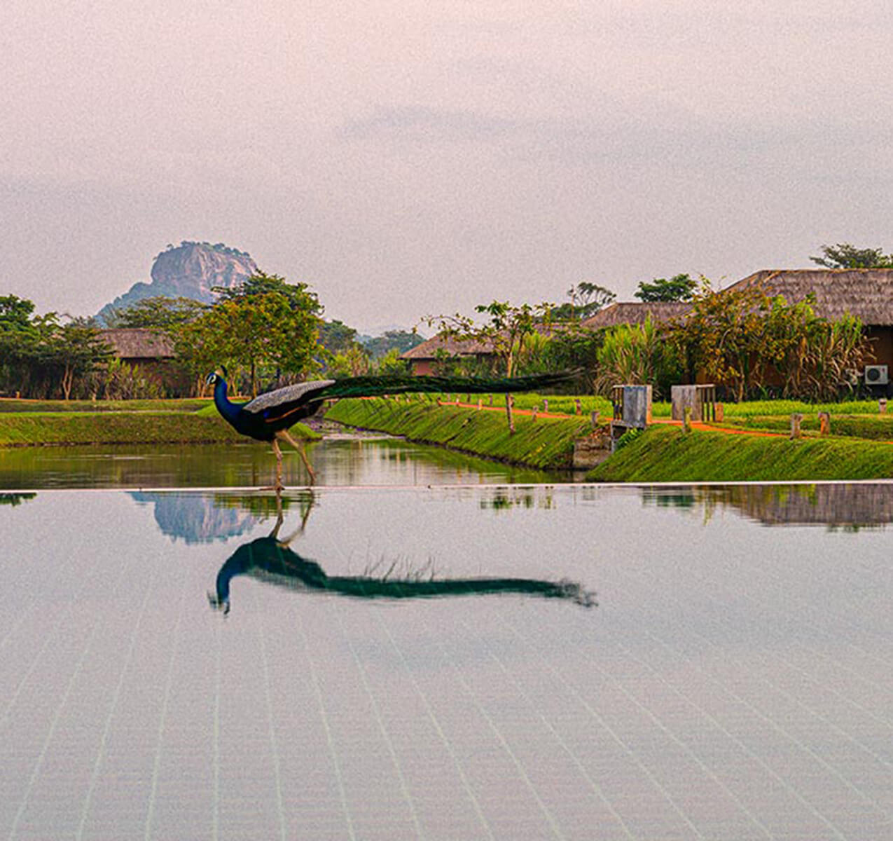 water garden sigiriya