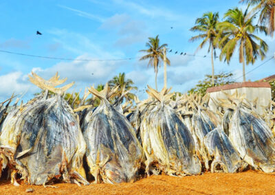 Negombo