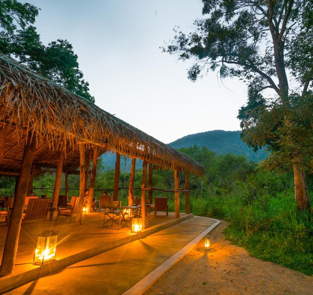 Tree Tops Jungle Lodge