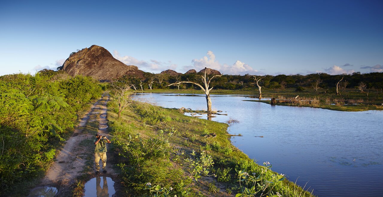 Bundala National Park