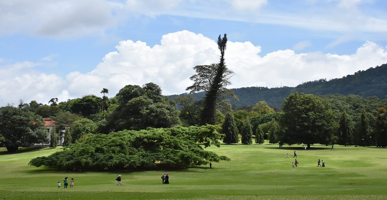 peradeniya garden