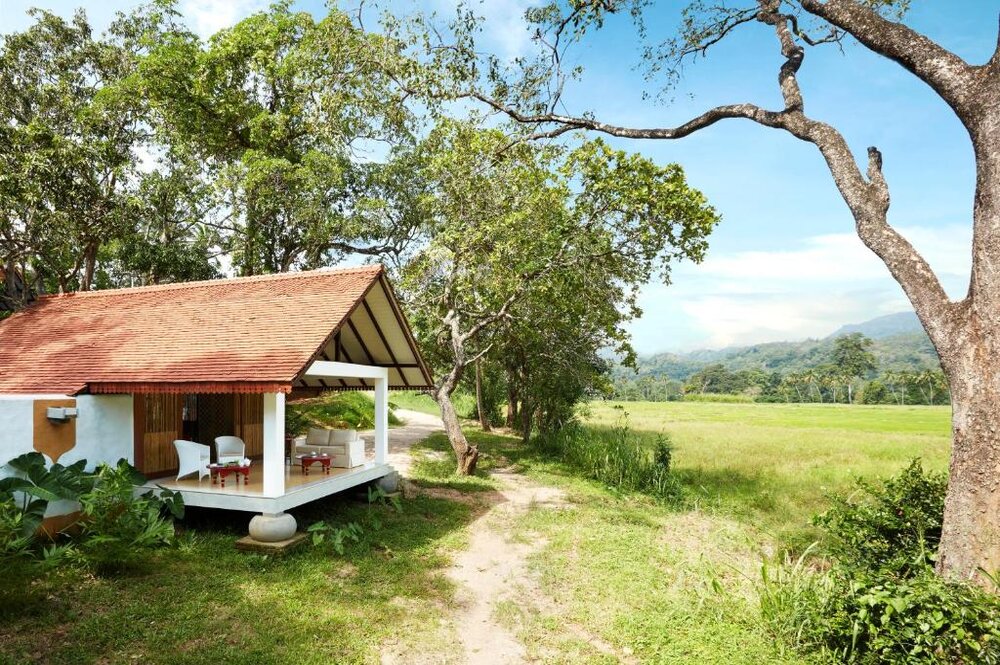 Deluxe Dwelling (Wel Vidana - Paddy Field View) Jetwing