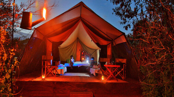 Leopard Trails Yala