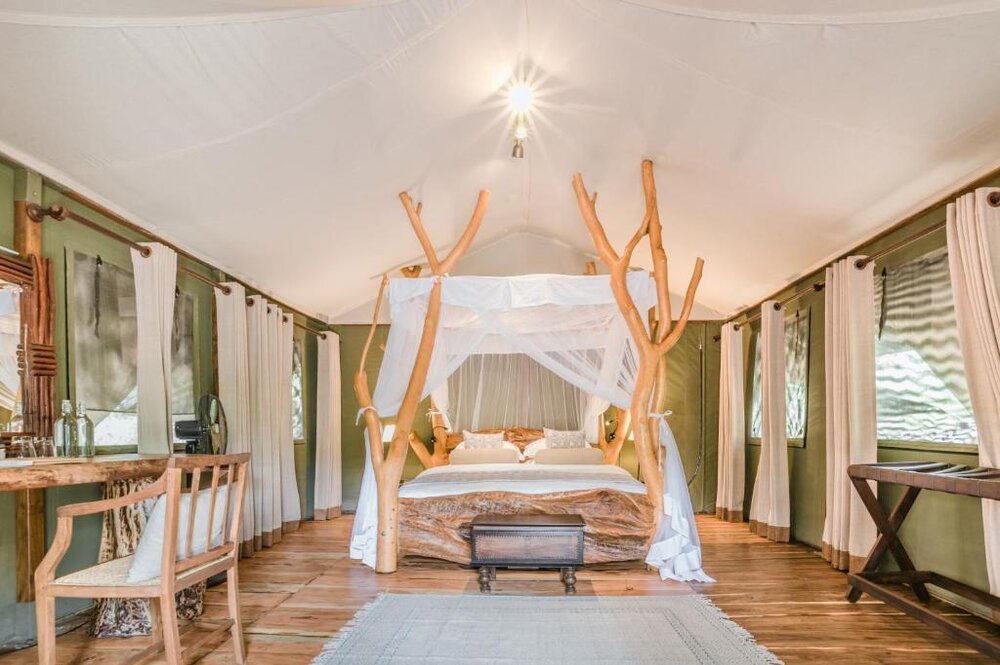 Luxury Tent Leopard Safaris