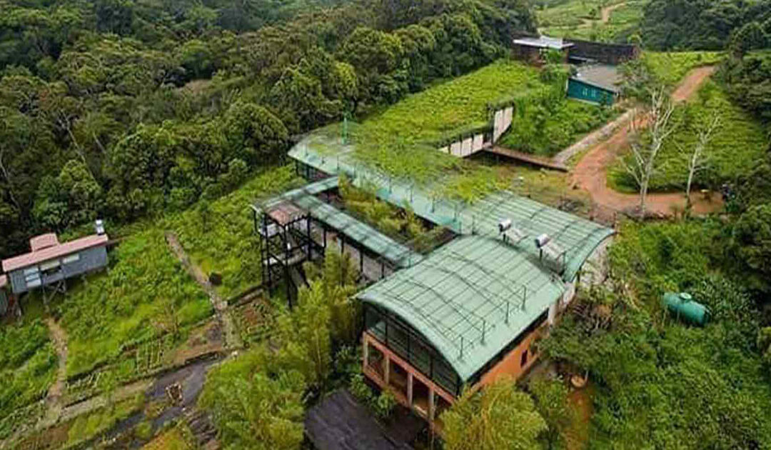 The Rainforest Ecolodge