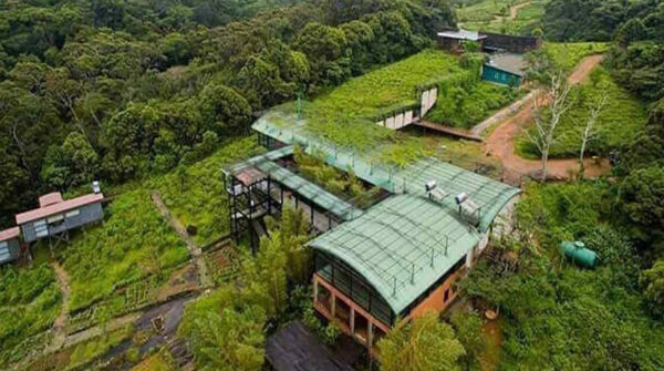 Rainforest-Eco-Lodge
