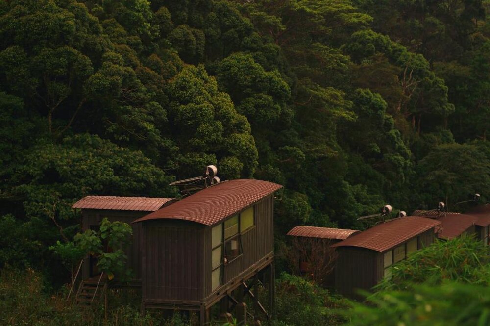 Rainforest Ecolodge Chalets