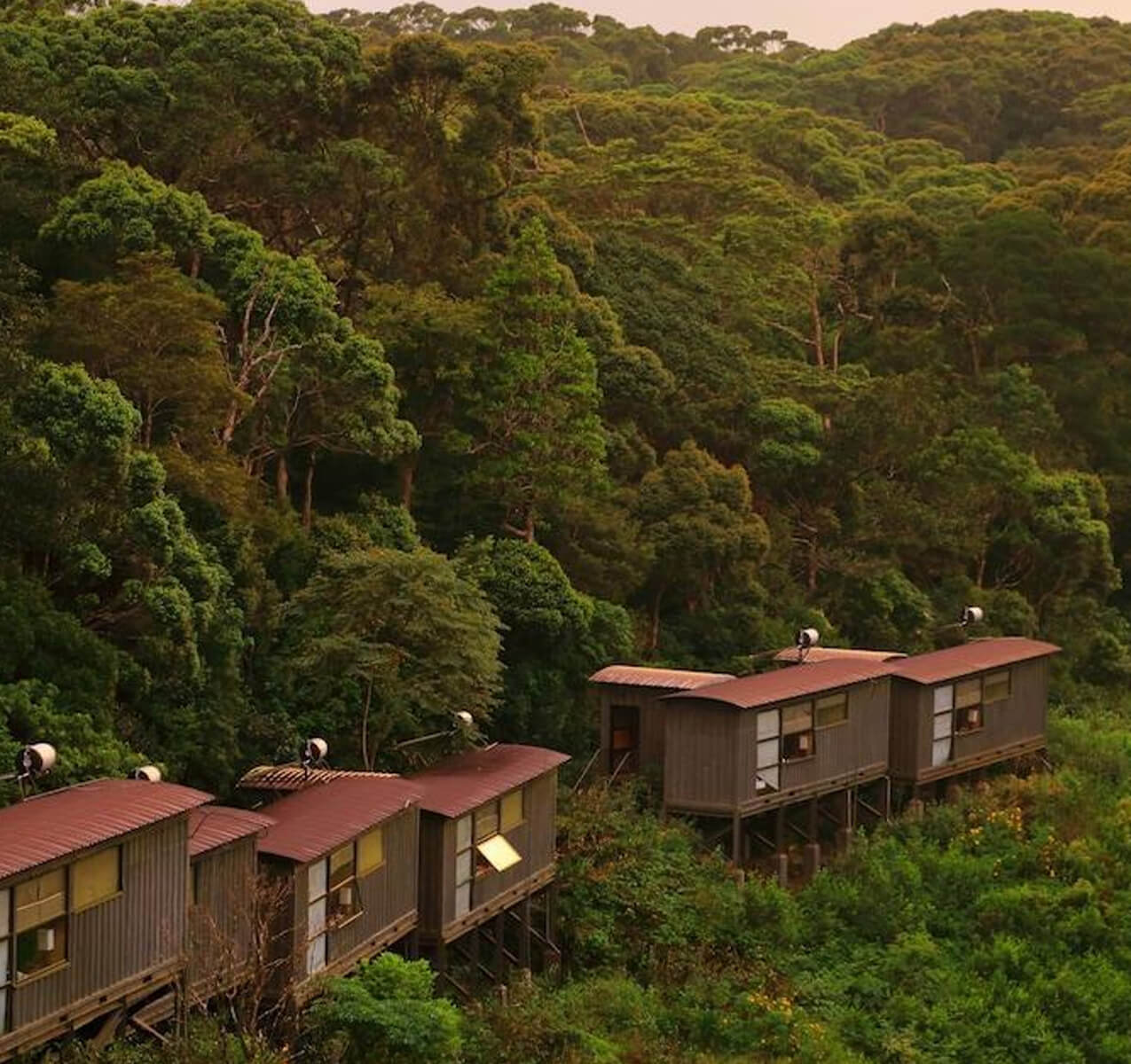 Rainforest Ecolodge