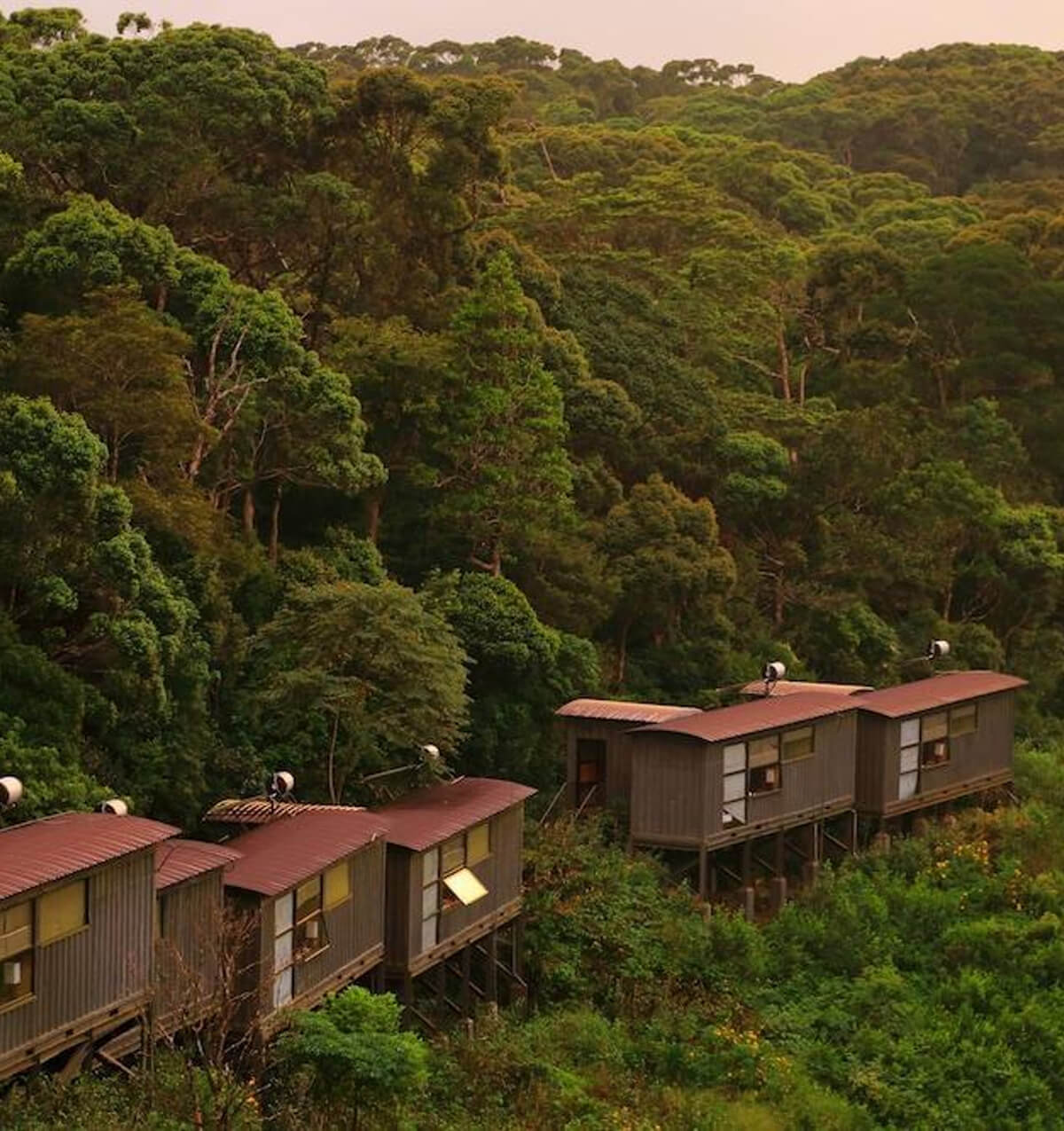 Rainforest Ecolodge