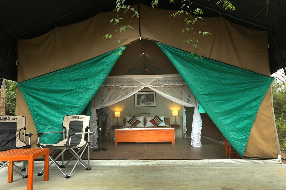 Safari Tents