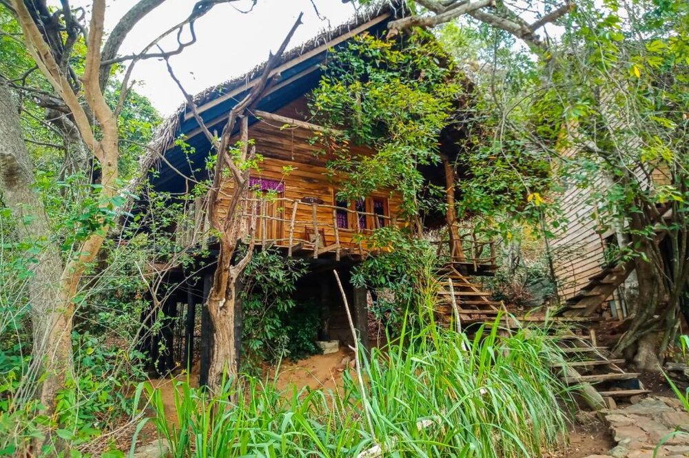 Tree House Amuna Wellness & Ayurveda Retreat