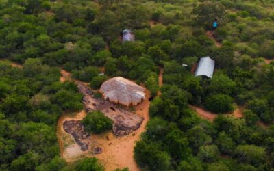 Top 15 Must-Visit Places in Sri Lanka for First-Time Travellers