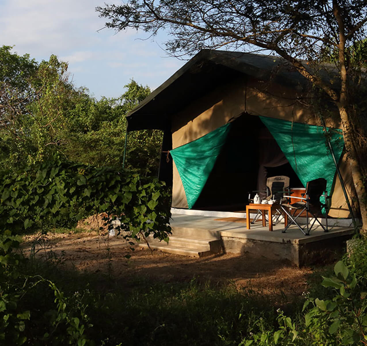 Wilpattu Safari Camp Wilpattu