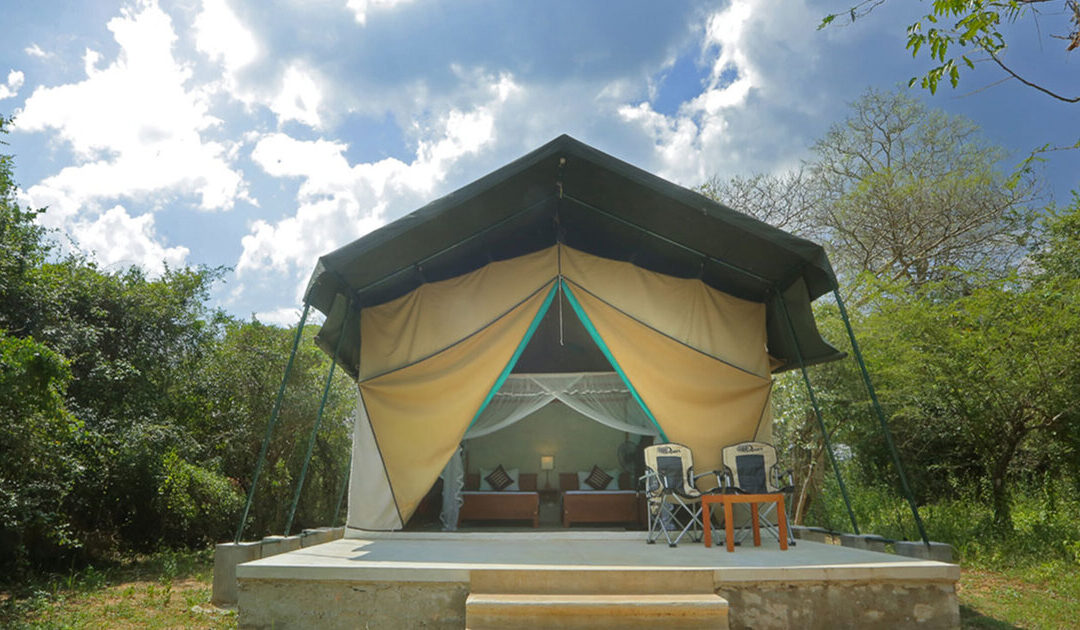 Wilpattu Safari Camp