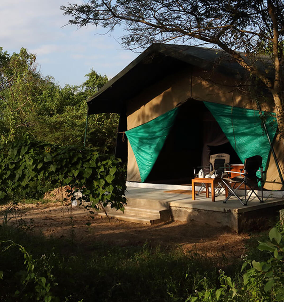 Wilpattu Safari Camp