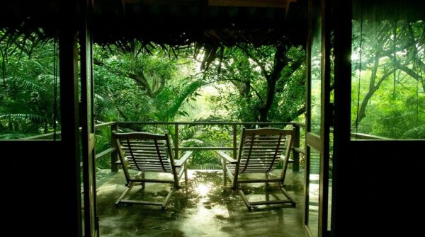 Diyabubula, the Barberyn Art & Jungle Hideaway
