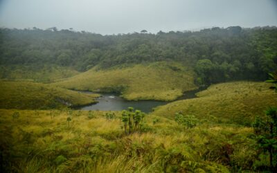 Putting your adrenaline junkie hair down in Sri Lanka