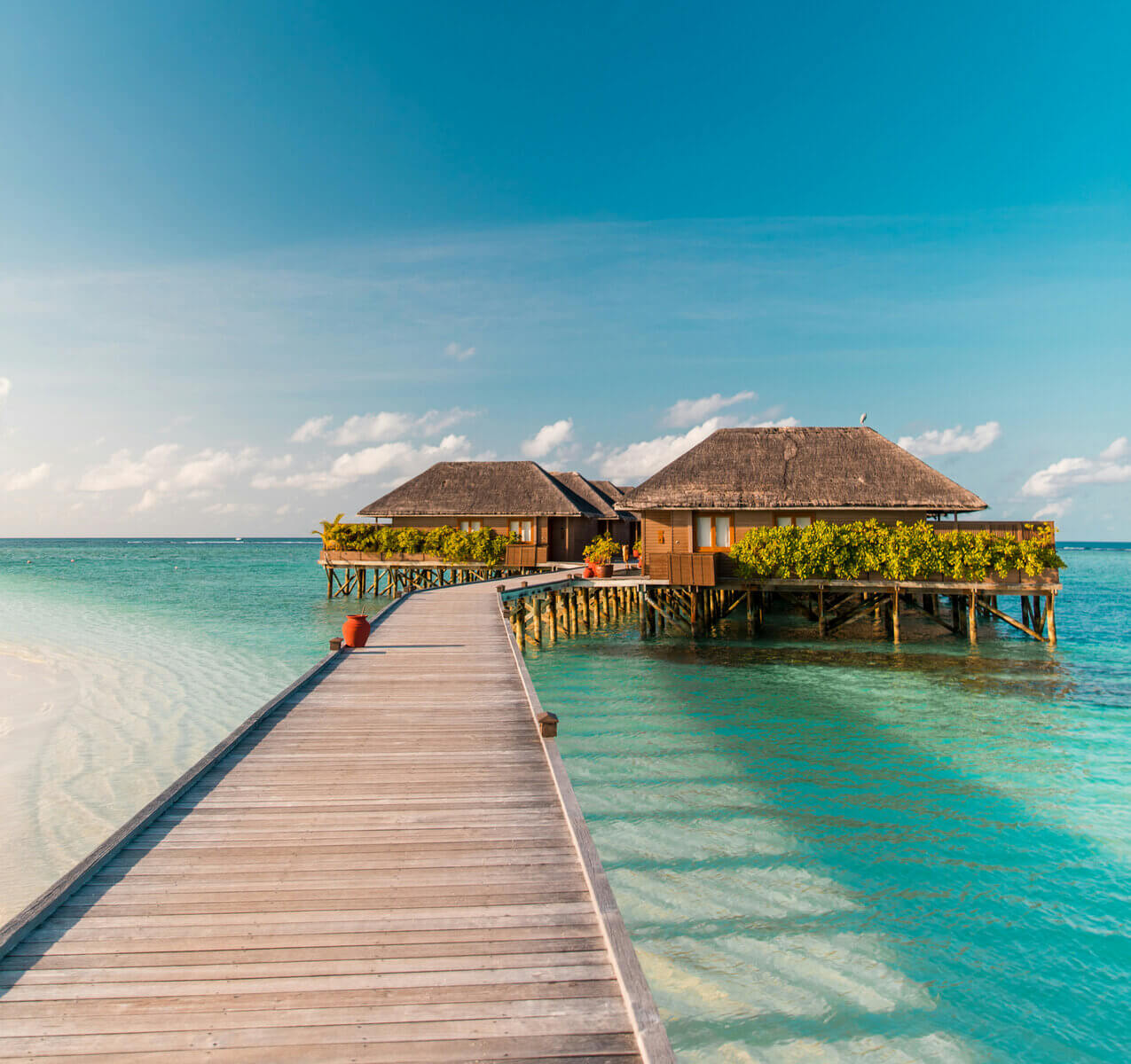 Meeru Island In Maldives