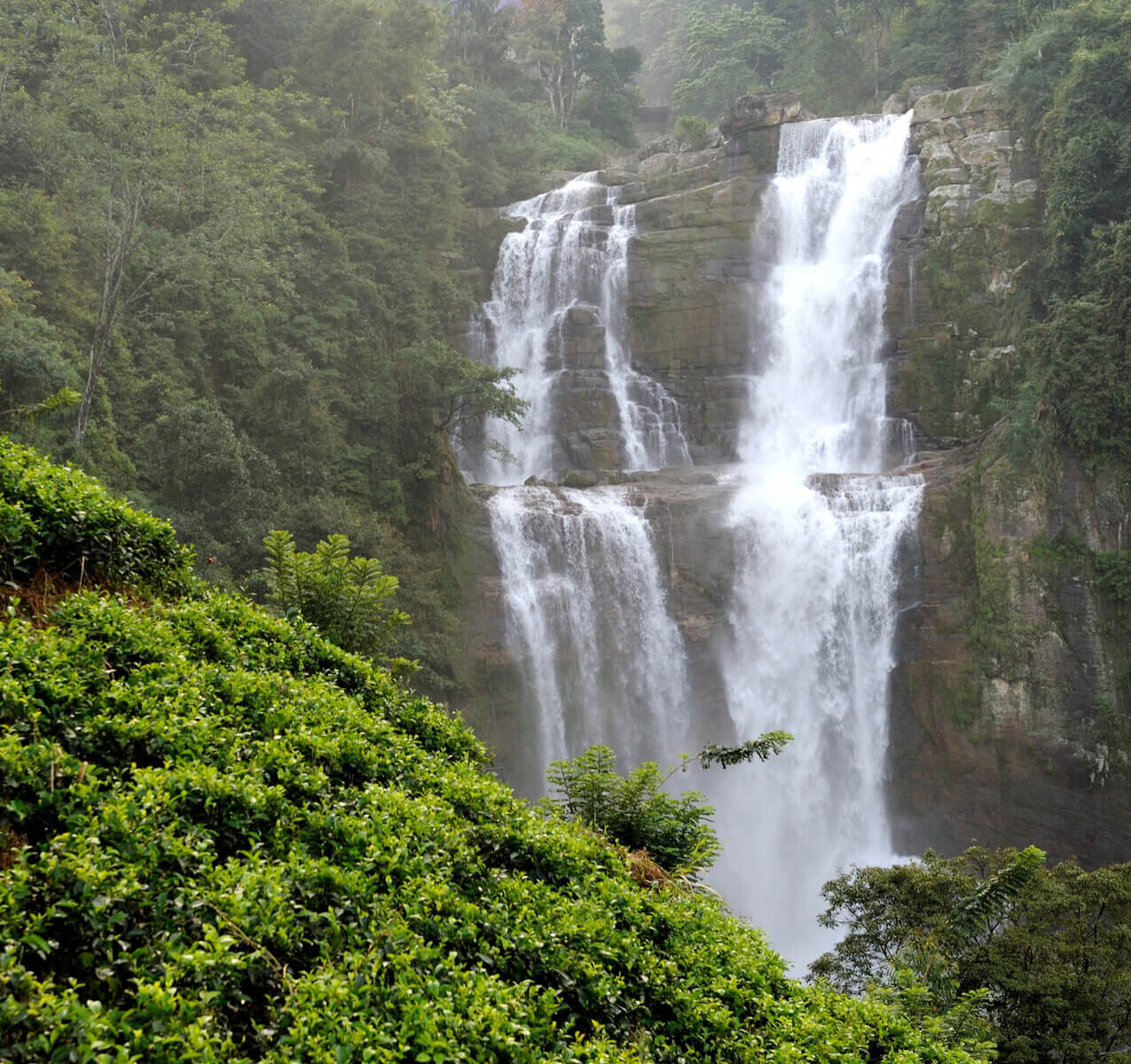Ramboda Water Fall