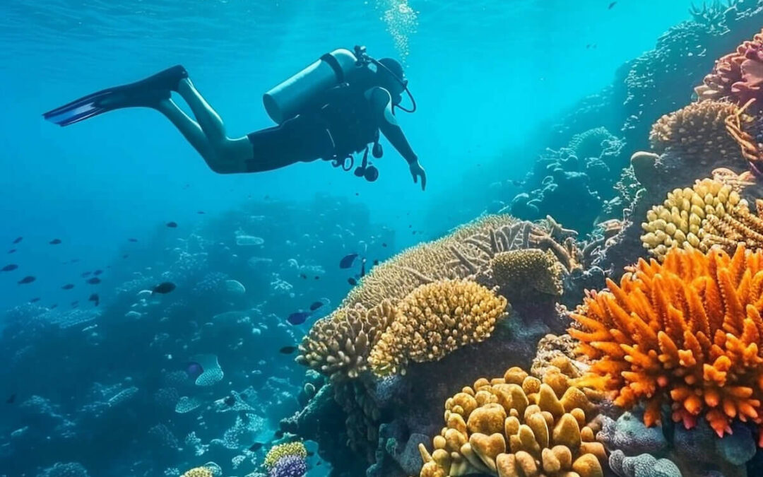 Thrilling Diving Experience With Maldives Explorer