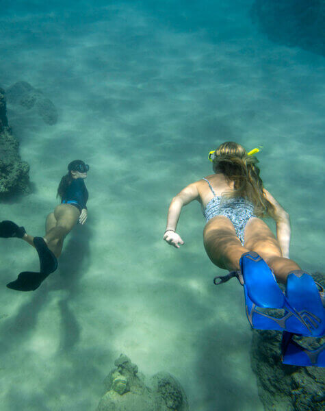 diving in maldives