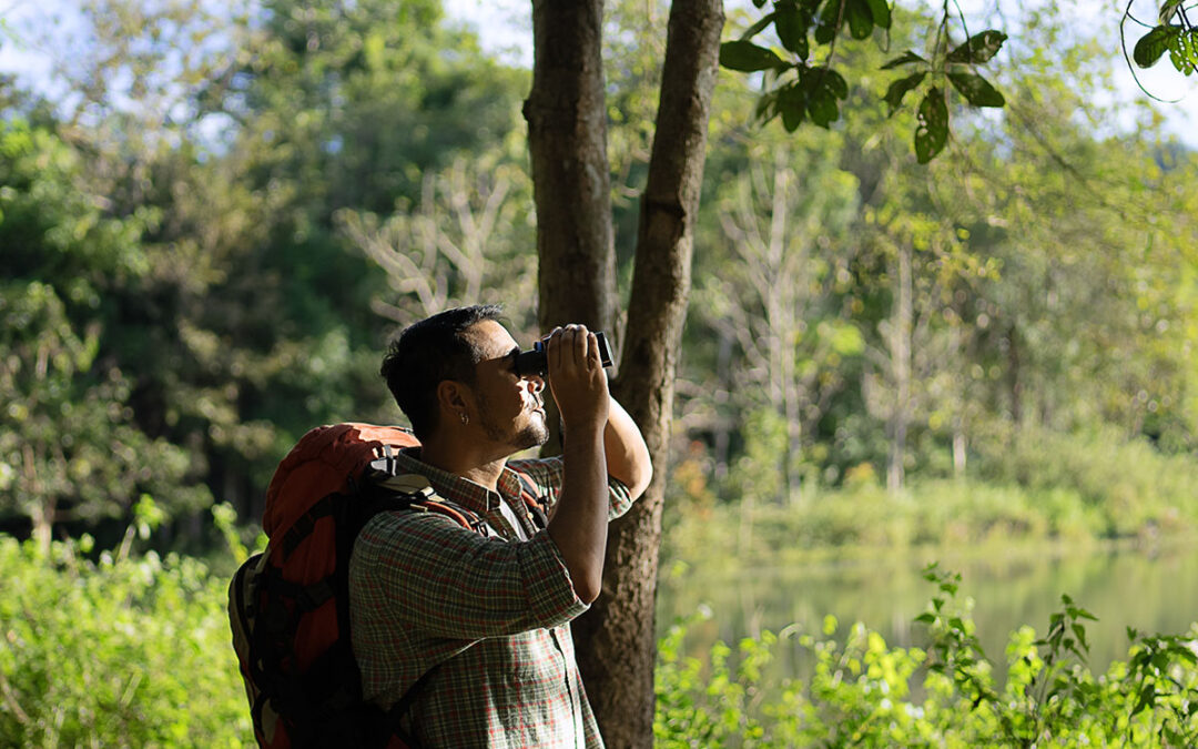 Feathered Trails of Ceylon