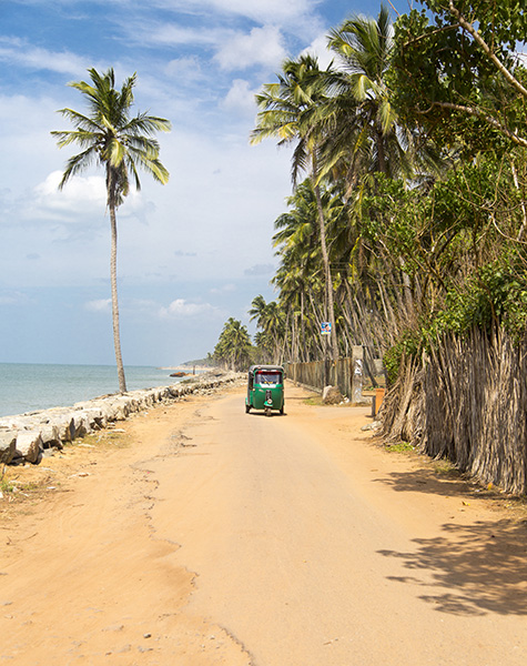Mannar