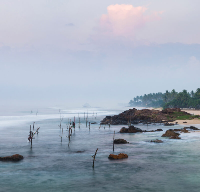 Unique Attractions on Sri Lanka's South Coast