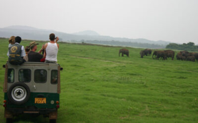 Prince William’s ‘Guardians’ Puts Sri Lanka’s Wildlife Warriors on the Global Stage