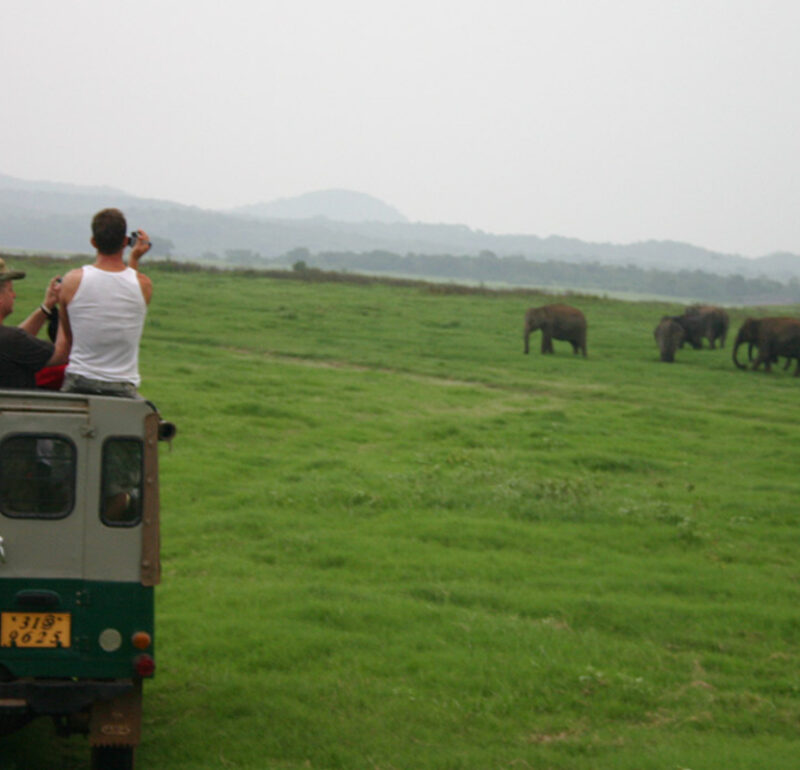 wildlife tourism