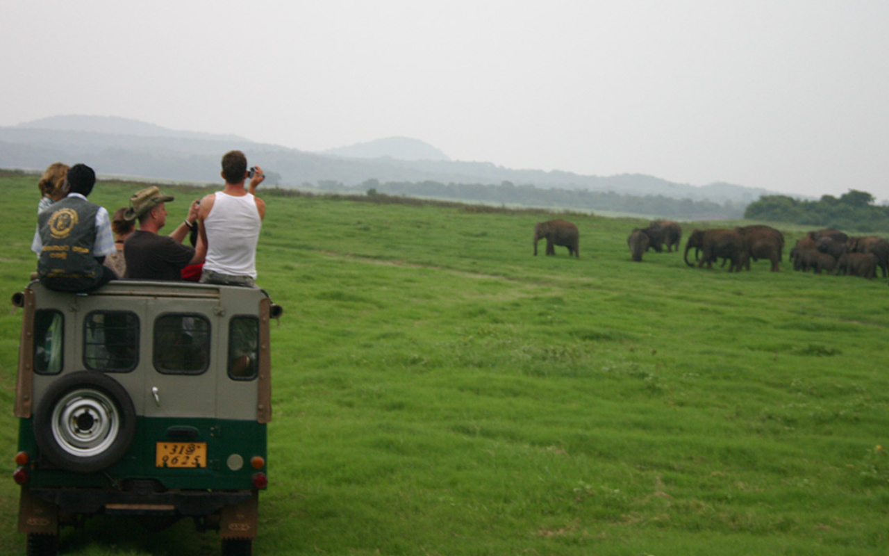 wildlife tourism