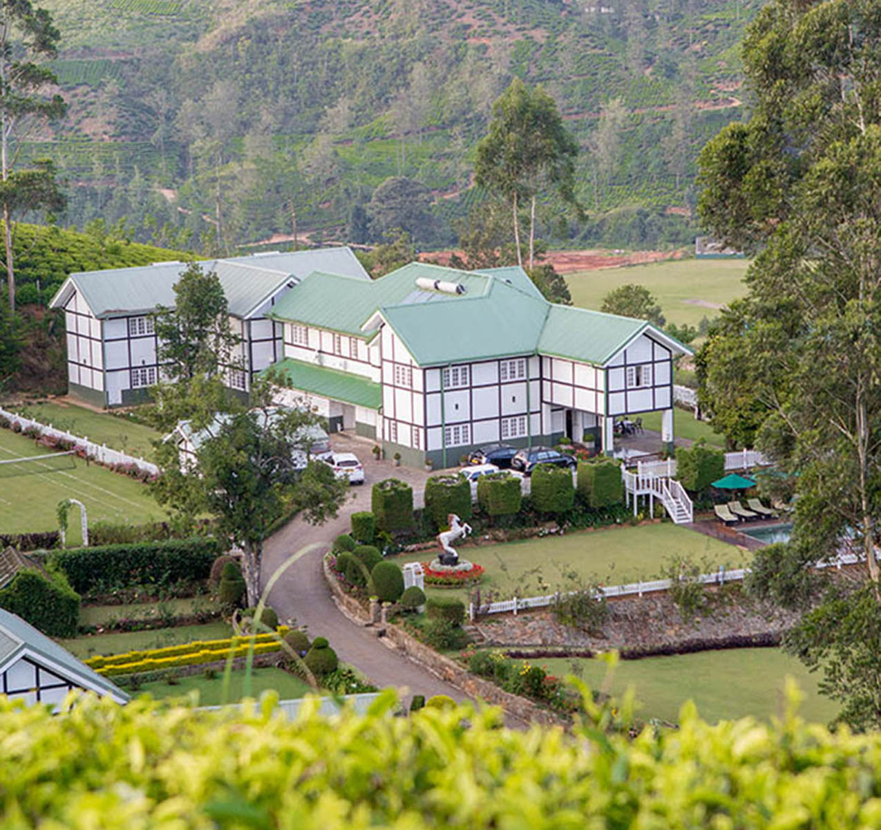 Amaya-Langdale