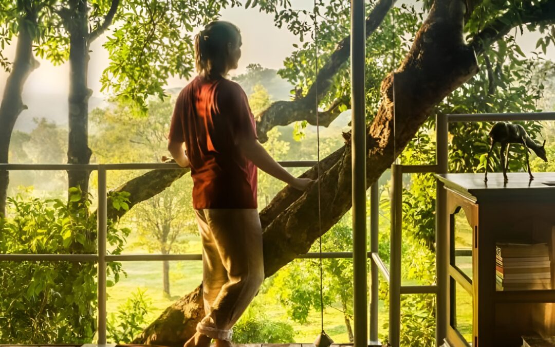 Into the Wild, with Rustic Retreats