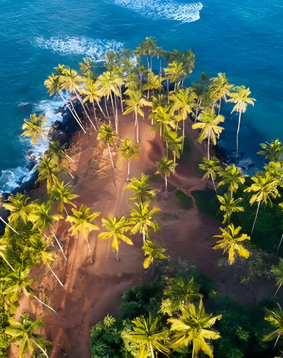 Mirissa 