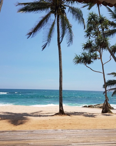 beach in sri lanka