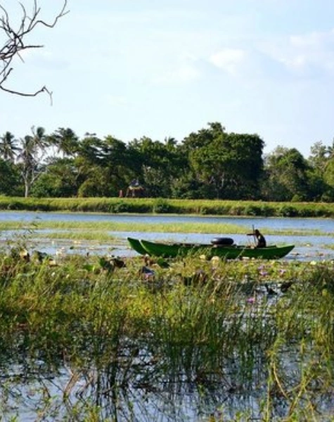habarana sri lanka