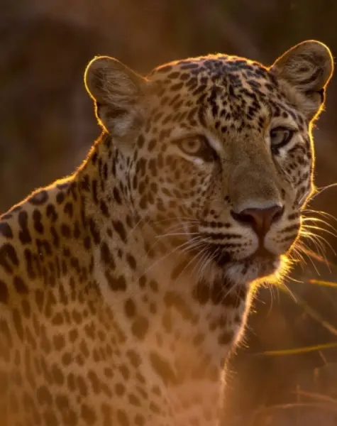 leopard tours (2) Cycling