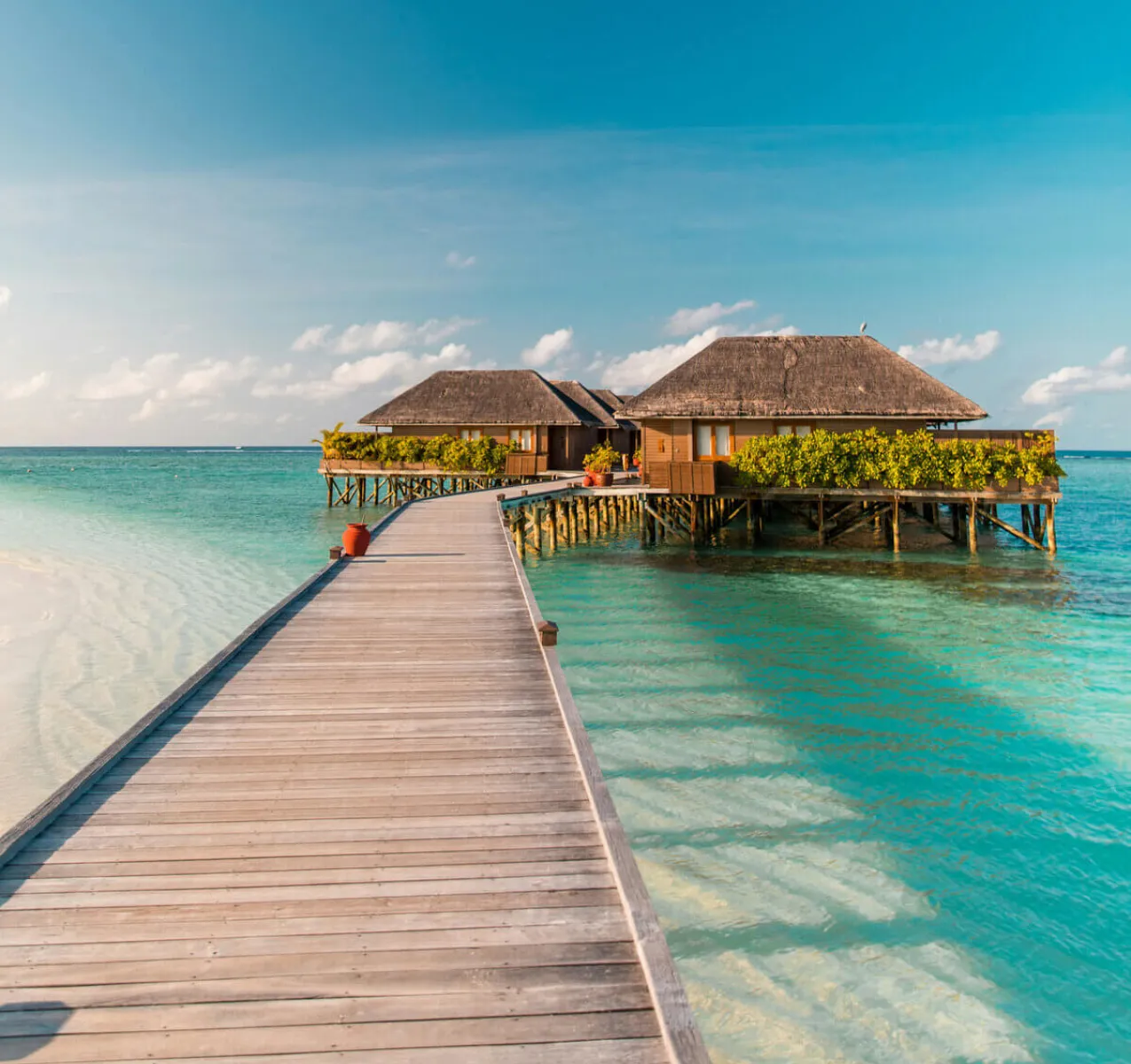 Teen Adventure Tour In Sri Lanka & Maldives