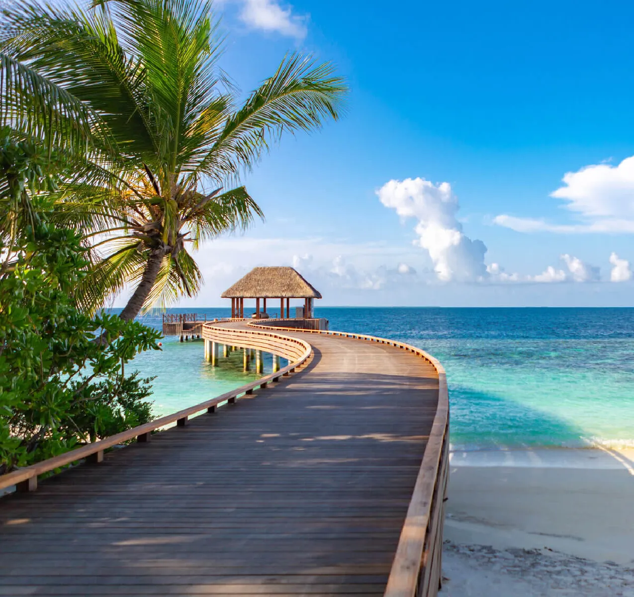 Thrilling Diving Experience With Maldives Explorer