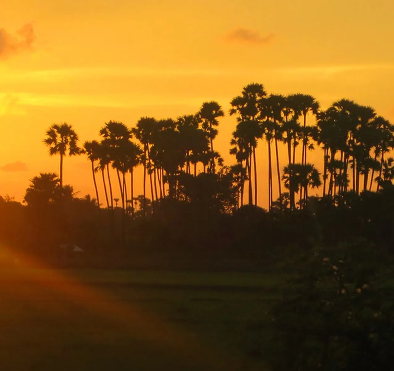 Teen Adventure Tour In Sri Lanka & Maldives