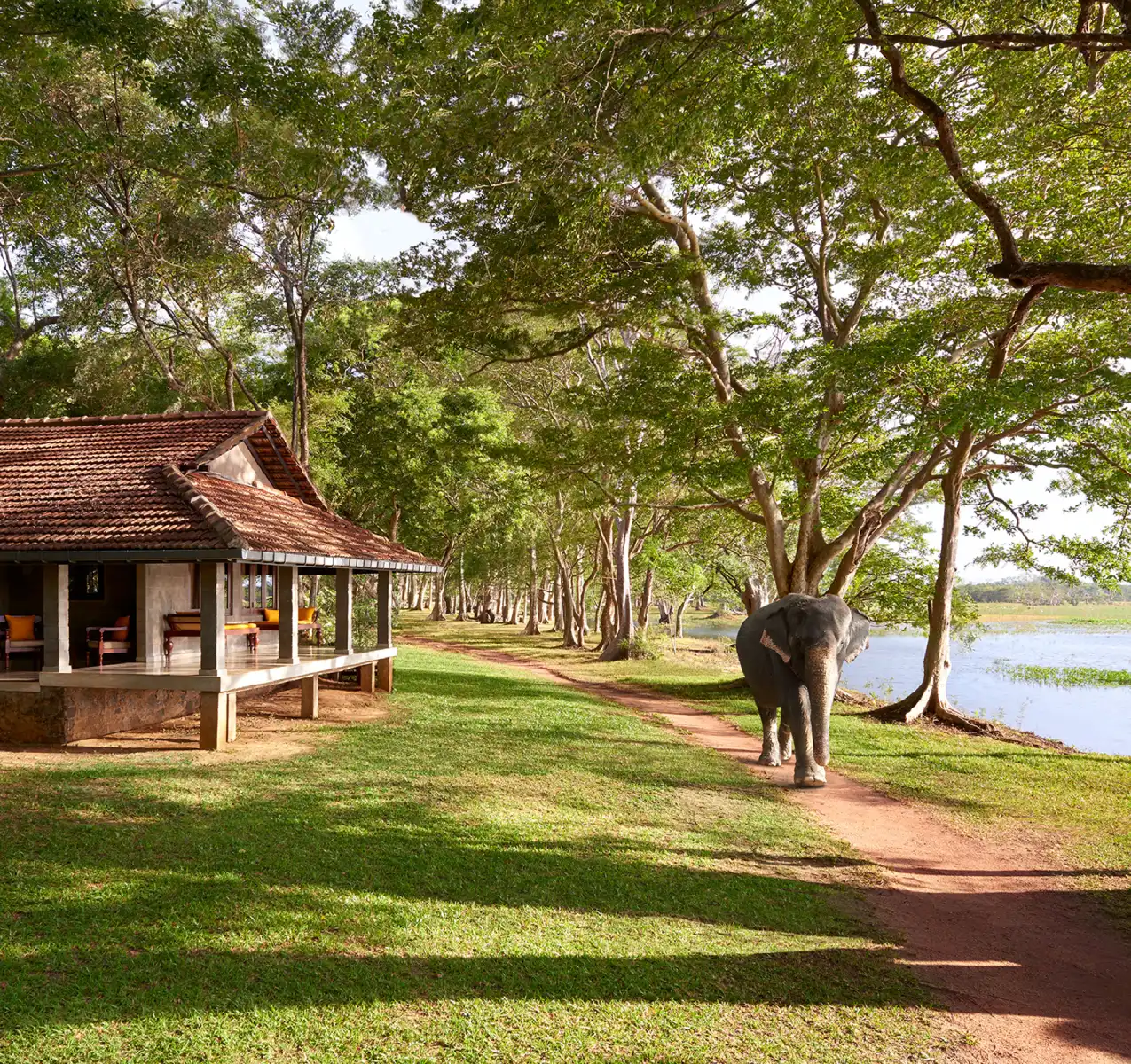 Habarana Village by Cinnamon