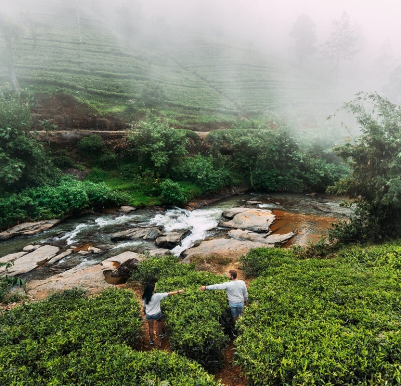 Sri Lanka Honeymoon Planning