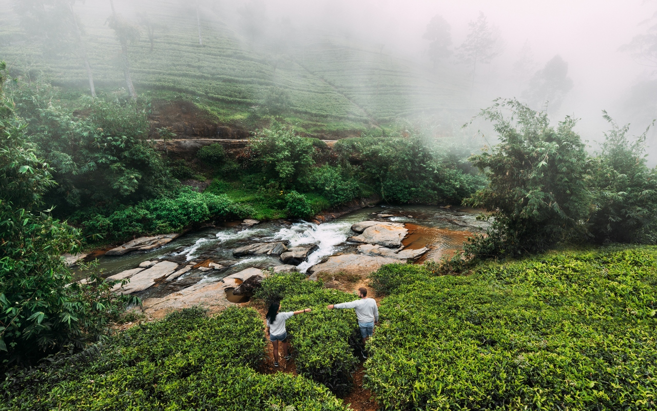 Sri Lanka Honeymoon Planning
