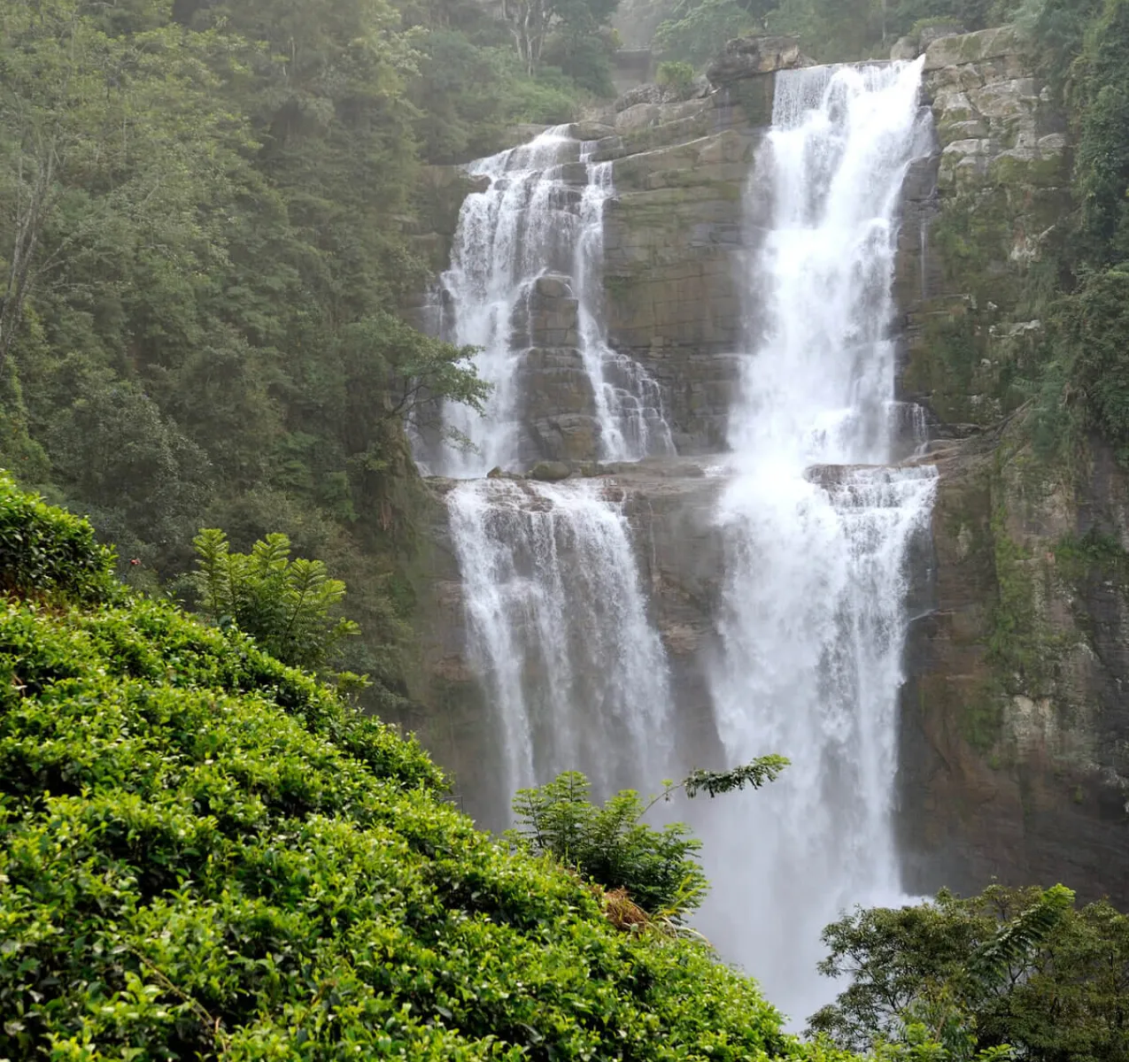 Twin Center Sri Lanka & Maldives Tour<br />
Explore More<br />
Tailormad